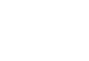 PF2026 logo baltas